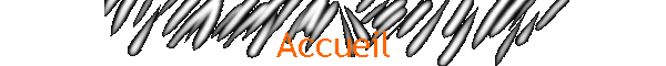 Accueil